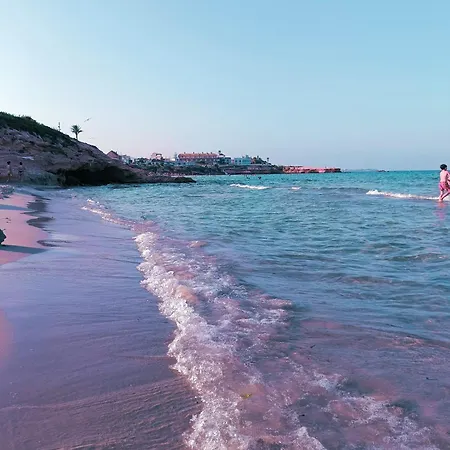 Santomera Lejlighed Torrevieja